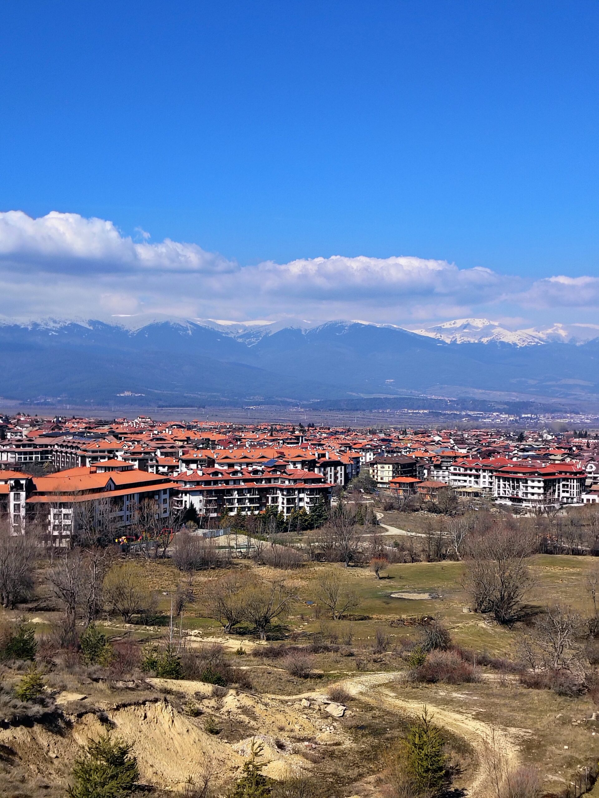 IMG_20260307_125532571_HDR_AE