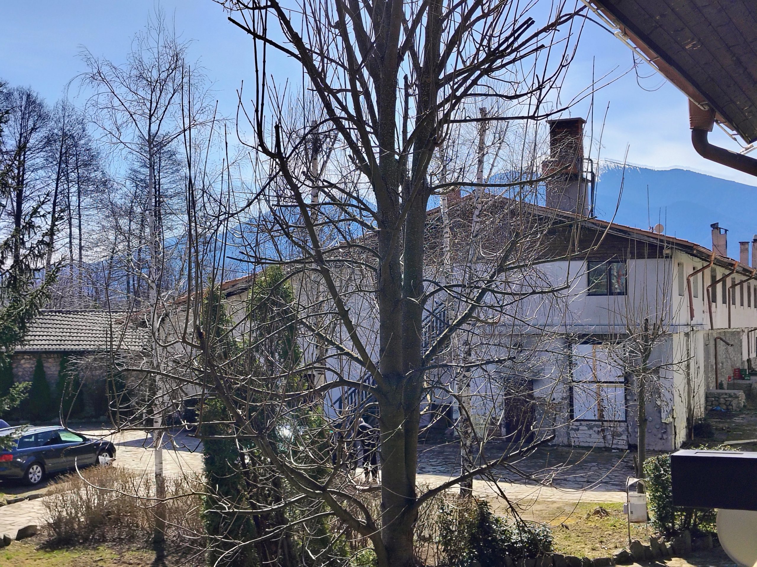 IMG_20260309_115243269_HDR_AE